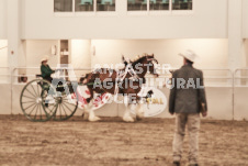 ete's Photography - Equine photography of various equine events at the Ancaster Fair including riding, driving, single carts and six draft horse hitches.