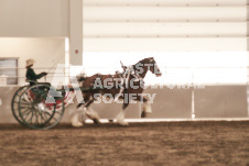 ete's Photography - Equine photography of various equine events at the Ancaster Fair including riding, driving, single carts and six draft horse hitches.