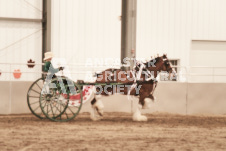 ete's Photography - Equine photography of various equine events at the Ancaster Fair including riding, driving, single carts and six draft horse hitches.