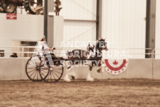 ete's Photography - Equine photography of various equine events at the Ancaster Fair including riding, driving, single carts and six draft horse hitches.