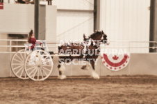 ete's Photography - Equine photography of various equine events at the Ancaster Fair including riding, driving, single carts and six draft horse hitches.