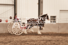 ete's Photography - Equine photography of various equine events at the Ancaster Fair including riding, driving, single carts and six draft horse hitches.