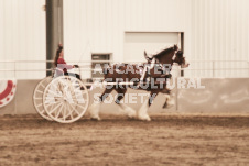 ete's Photography - Equine photography of various equine events at the Ancaster Fair including riding, driving, single carts and six draft horse hitches.