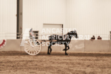 ete's Photography - Equine photography of various equine events at the Ancaster Fair including riding, driving, single carts and six draft horse hitches.