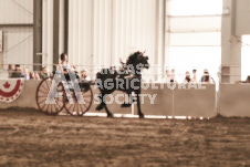 ete's Photography - Equine photography of various equine events at the Ancaster Fair including riding, driving, single carts and six draft horse hitches.