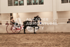 ete's Photography - Equine photography of various equine events at the Ancaster Fair including riding, driving, single carts and six draft horse hitches.