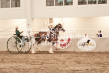 ete's Photography - Equine photography of various equine events at the Ancaster Fair including riding, driving, single carts and six draft horse hitches.