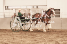 ete's Photography - Equine photography of various equine events at the Ancaster Fair including riding, driving, single carts and six draft horse hitches.