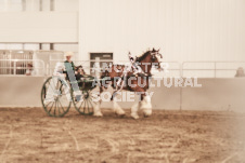 ete's Photography - Equine photography of various equine events at the Ancaster Fair including riding, driving, single carts and six draft horse hitches.