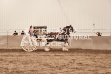 ete's Photography - Equine photography of various equine events at the Ancaster Fair including riding, driving, single carts and six draft horse hitches.