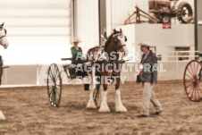 ete's Photography - Equine photography of various equine events at the Ancaster Fair including riding, driving, single carts and six draft horse hitches.