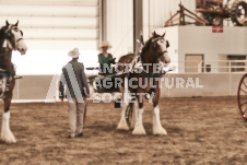 ete's Photography - Equine photography of various equine events at the Ancaster Fair including riding, driving, single carts and six draft horse hitches.