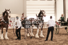 ete's Photography - Equine photography of various equine events at the Ancaster Fair including riding, driving, single carts and six draft horse hitches.