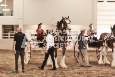 ete's Photography - Equine photography of various equine events at the Ancaster Fair including riding, driving, single carts and six draft horse hitches.