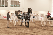 ete's Photography - Equine photography of various equine events at the Ancaster Fair including riding, driving, single carts and six draft horse hitches.