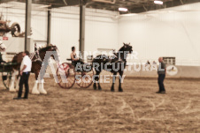 ete's Photography - Equine photography of various equine events at the Ancaster Fair including riding, driving, single carts and six draft horse hitches.