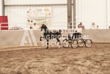 ete's Photography - Equine photography of various equine events at the Ancaster Fair including riding, driving, single carts and six draft horse hitches.