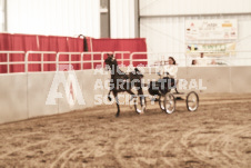 ete's Photography - Equine photography of various equine events at the Ancaster Fair including riding, driving, single carts and six draft horse hitches.