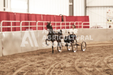 ete's Photography - Equine photography of various equine events at the Ancaster Fair including riding, driving, single carts and six draft horse hitches.