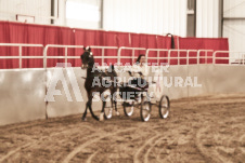 ete's Photography - Equine photography of various equine events at the Ancaster Fair including riding, driving, single carts and six draft horse hitches.