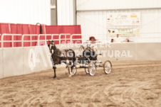 ete's Photography - Equine photography of various equine events at the Ancaster Fair including riding, driving, single carts and six draft horse hitches.