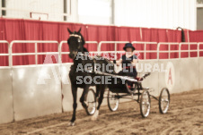 ete's Photography - Equine photography of various equine events at the Ancaster Fair including riding, driving, single carts and six draft horse hitches.