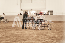 ete's Photography - Equine photography of various equine events at the Ancaster Fair including riding, driving, single carts and six draft horse hitches.