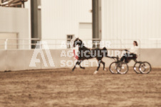 ete's Photography - Equine photography of various equine events at the Ancaster Fair including riding, driving, single carts and six draft horse hitches.