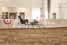 ete's Photography - Equine photography of various equine events at the Ancaster Fair including riding, driving, single carts and six draft horse hitches.