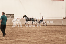 ete's Photography - Equine photography of various equine events at the Ancaster Fair including riding, driving, single carts and six draft horse hitches.