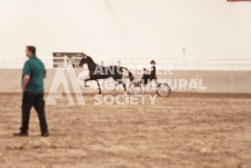 ete's Photography - Equine photography of various equine events at the Ancaster Fair including riding, driving, single carts and six draft horse hitches.