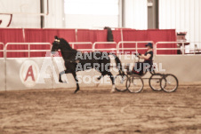 ete's Photography - Equine photography of various equine events at the Ancaster Fair including riding, driving, single carts and six draft horse hitches.