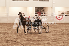 ete's Photography - Equine photography of various equine events at the Ancaster Fair including riding, driving, single carts and six draft horse hitches.