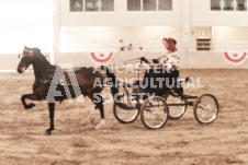 ete's Photography - Equine photography of various equine events at the Ancaster Fair including riding, driving, single carts and six draft horse hitches.