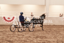 ete's Photography - Equine photography of various equine events at the Ancaster Fair including riding, driving, single carts and six draft horse hitches.