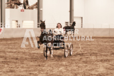 ete's Photography - Equine photography of various equine events at the Ancaster Fair including riding, driving, single carts and six draft horse hitches.