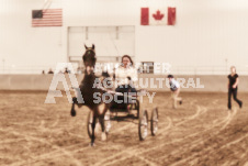 ete's Photography - Equine photography of various equine events at the Ancaster Fair including riding, driving, single carts and six draft horse hitches.