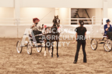 ete's Photography - Equine photography of various equine events at the Ancaster Fair including riding, driving, single carts and six draft horse hitches.