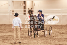 ete's Photography - Equine photography of various equine events at the Ancaster Fair including riding, driving, single carts and six draft horse hitches.