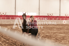 ete's Photography - Equine photography of various equine events at the Ancaster Fair including riding, driving, single carts and six draft horse hitches.