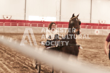 ete's Photography - Equine photography of various equine events at the Ancaster Fair including riding, driving, single carts and six draft horse hitches.