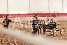 ete's Photography - Equine photography of various equine events at the Ancaster Fair including riding, driving, single carts and six draft horse hitches.