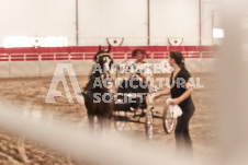 ete's Photography - Equine photography of various equine events at the Ancaster Fair including riding, driving, single carts and six draft horse hitches.