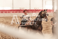 ete's Photography - Equine photography of various equine events at the Ancaster Fair including riding, driving, single carts and six draft horse hitches.