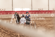 ete's Photography - Equine photography of various equine events at the Ancaster Fair including riding, driving, single carts and six draft horse hitches.