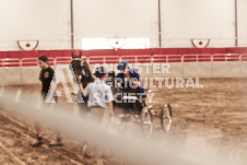 ete's Photography - Equine photography of various equine events at the Ancaster Fair including riding, driving, single carts and six draft horse hitches.