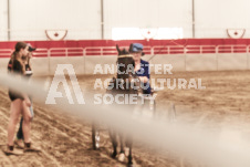 ete's Photography - Equine photography of various equine events at the Ancaster Fair including riding, driving, single carts and six draft horse hitches.