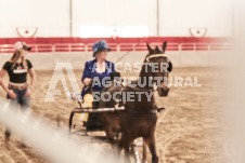 ete's Photography - Equine photography of various equine events at the Ancaster Fair including riding, driving, single carts and six draft horse hitches.