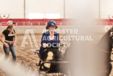 ete's Photography - Equine photography of various equine events at the Ancaster Fair including riding, driving, single carts and six draft horse hitches.