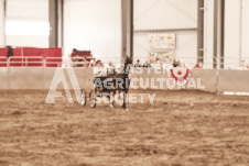 ete's Photography - Equine photography of various equine events at the Ancaster Fair including riding, driving, single carts and six draft horse hitches.